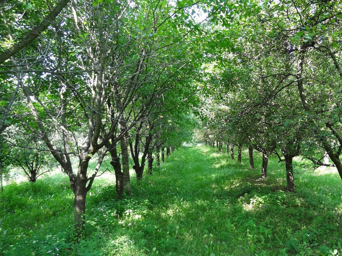 Apartament Parkowy Nałęczów 外观 照片