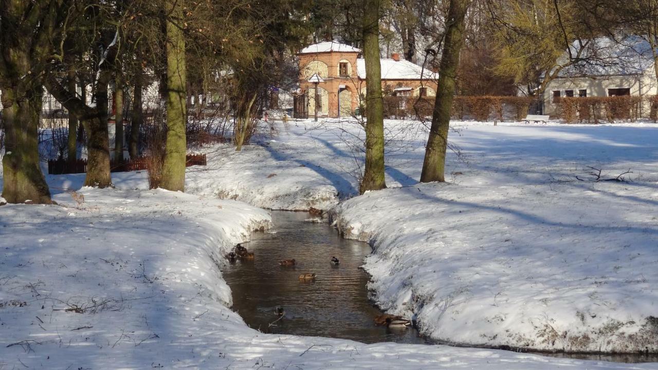 Apartament Parkowy Nałęczów 外观 照片